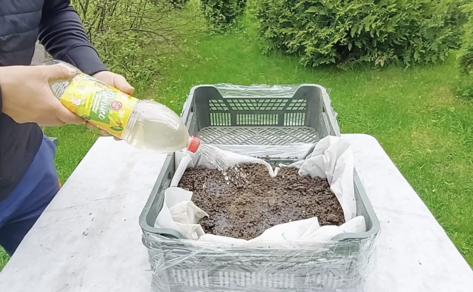 Городники розповіли, як з пластикових ящиків зробити парник