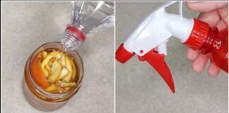 Господині розповіли, як приготувати універсальний засіб для прибирання