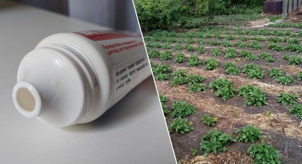 Не сміття, а золото: тюбики від зубної пасти не викидаю – із користю використовую на дачі. Трюк на 10 з 10 