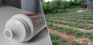 Яка користь пустих тюбиків від зубної пасти