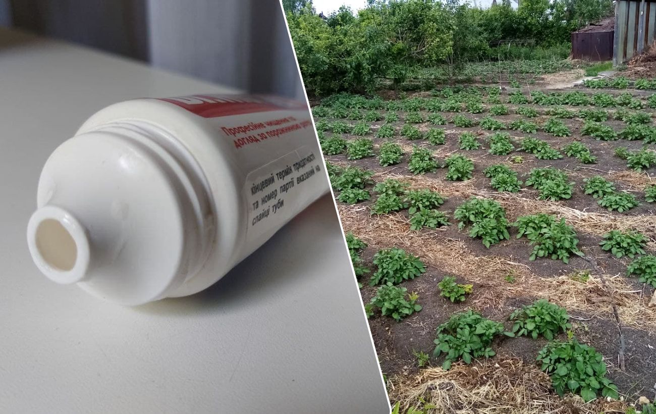 Яка користь пустих тюбиків від зубної пасти