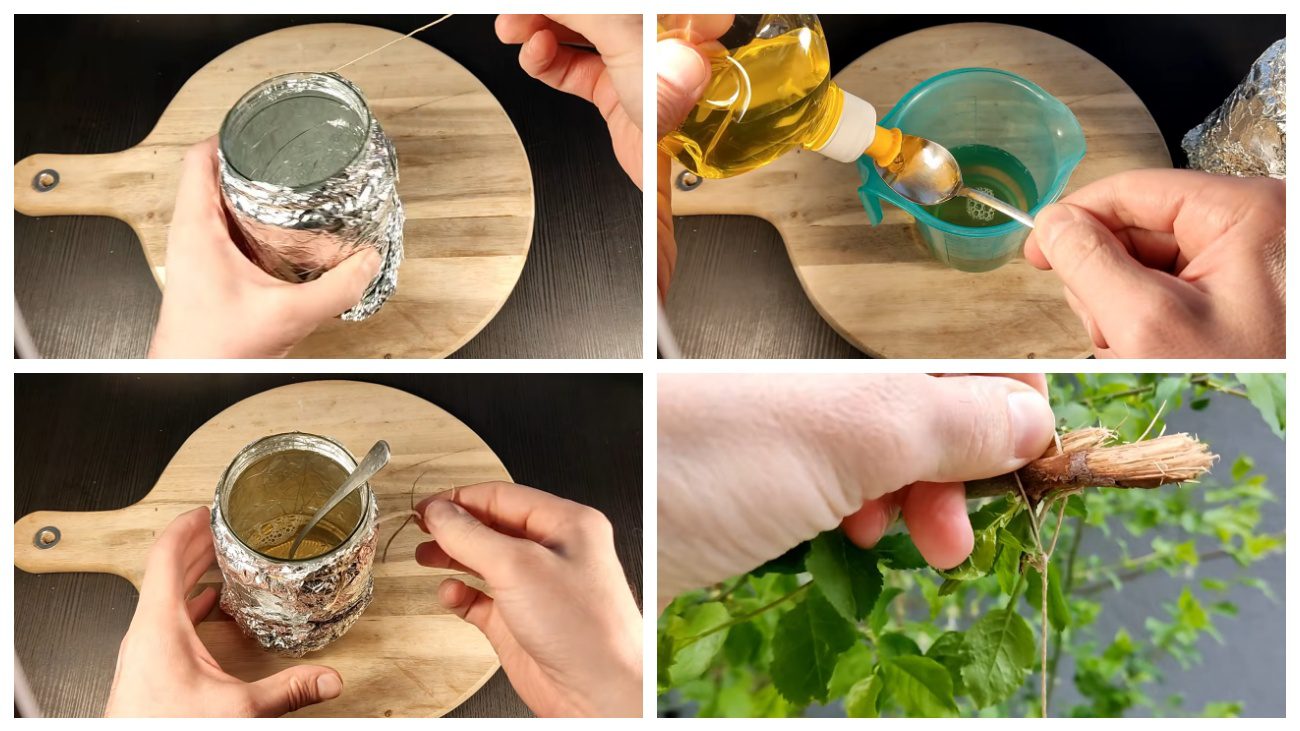 Садівники поділилися лайфхаком, як захистити сад без хімії. Фото: YouTube. Natural Health