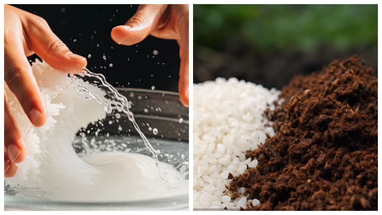 Городники розповіли, як оживити ґрунт після зими