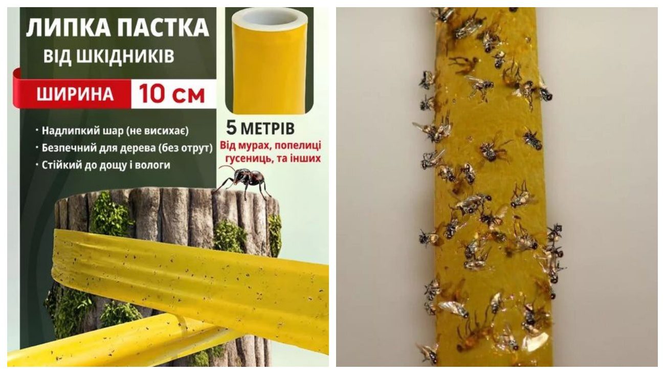 Садівники розповіли про види весняної обробки саду