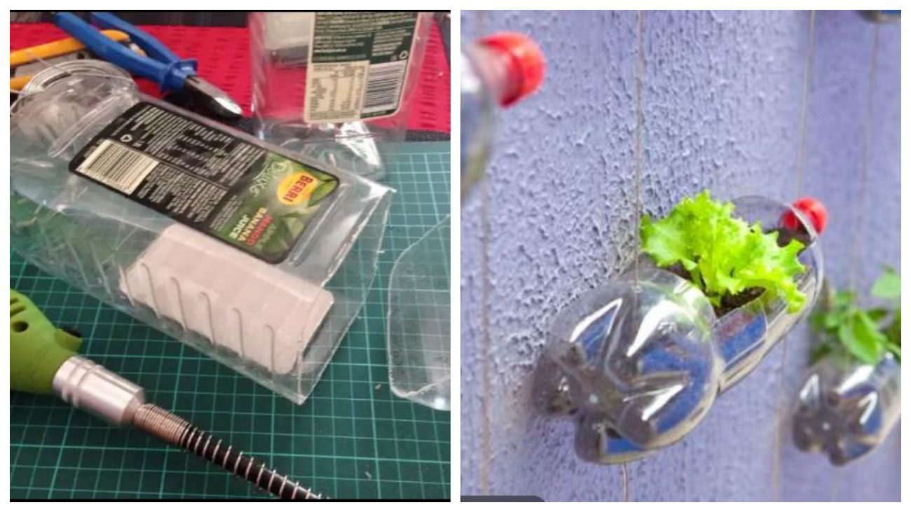 Експерти поділились лайфхаком, як перетворити звичайні пляшки на квітковий декор