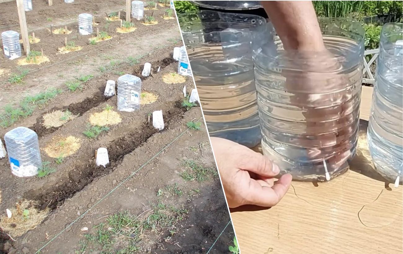 Як зробити крапельний полив із пляшок