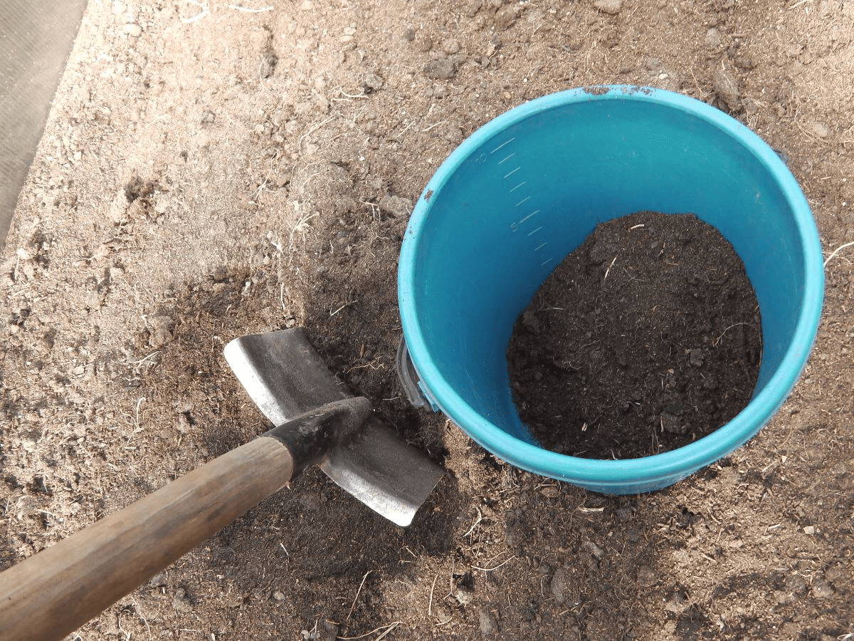 Городники порадили, яка процедура допоможе замінити перекопування городу — альтернатива