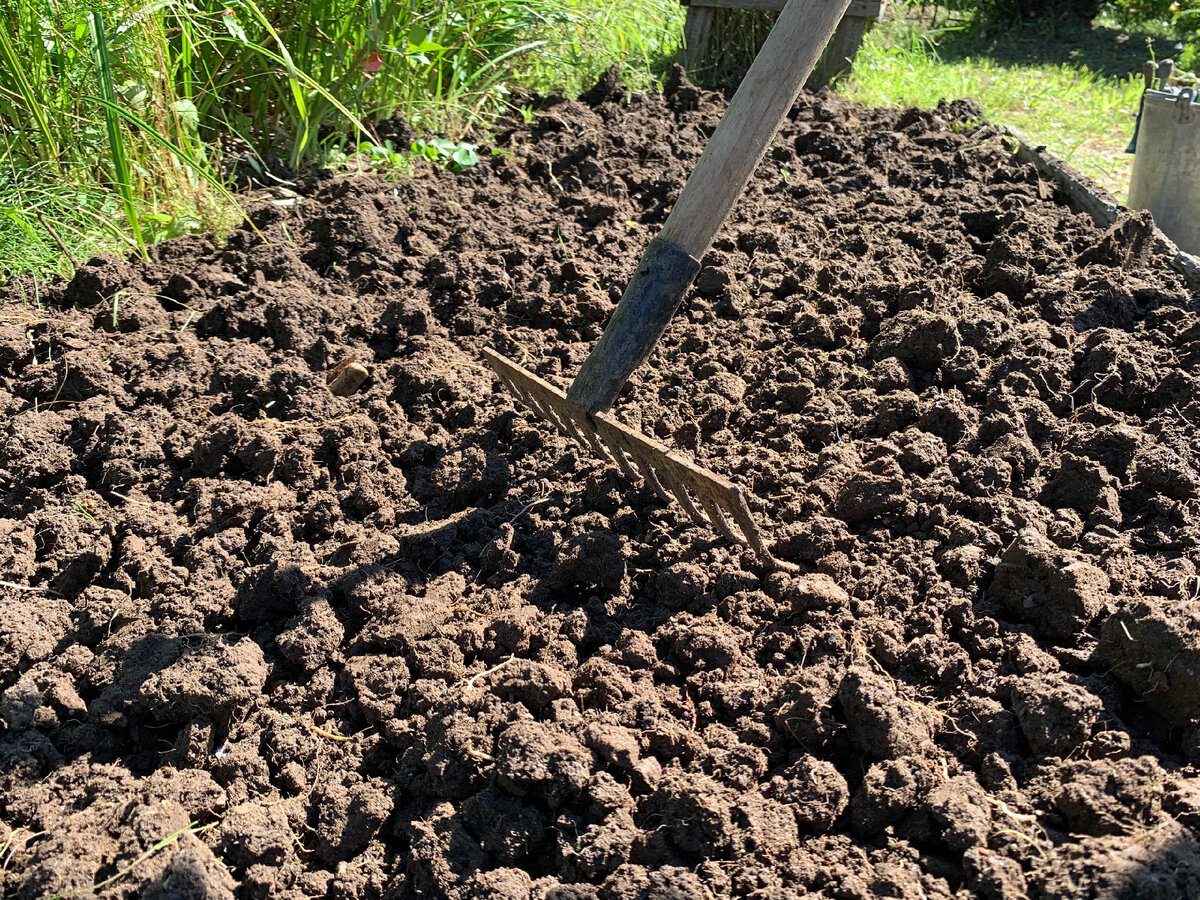 Городники порадили, яка процедура допоможе замінити перекопування городу — альтернатива