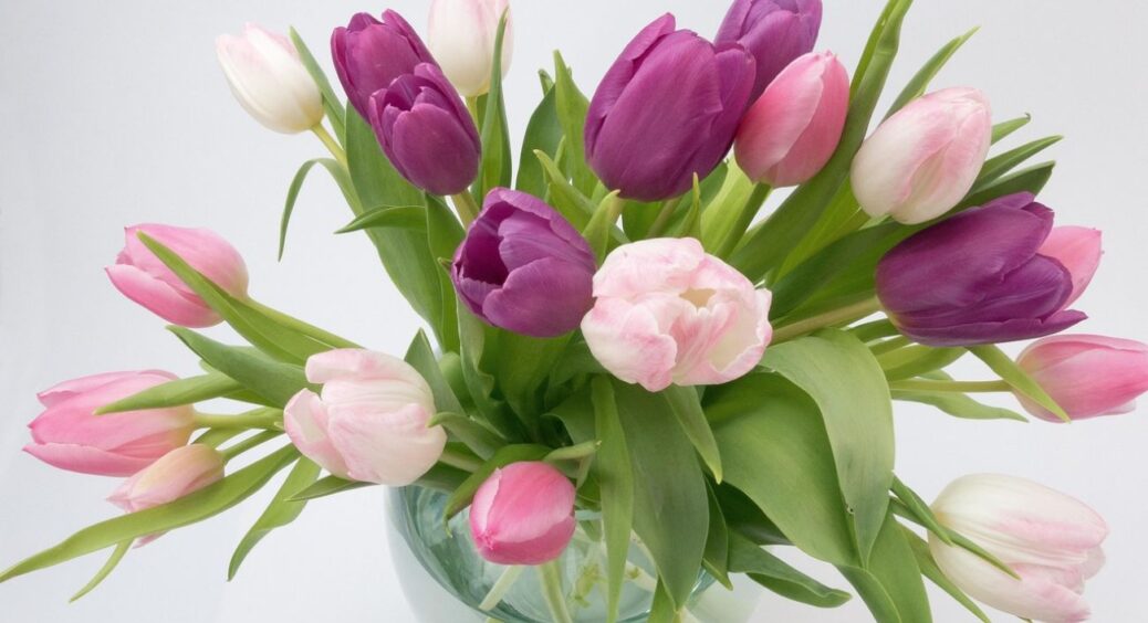 Кладу 2 монети в вазу з квітами — букет стоїть майже вдвічі довше: дивно, але це завжди працює 