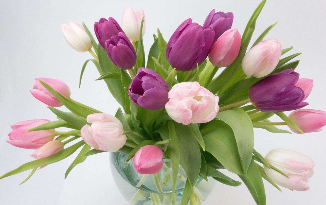 Як подовжити життя букета за допомогою монети