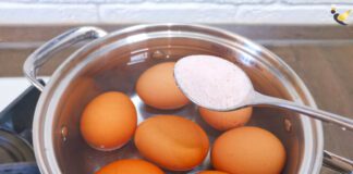 Господині розповіли, як варити яйця, щоб шкаралупа залишилася цілою