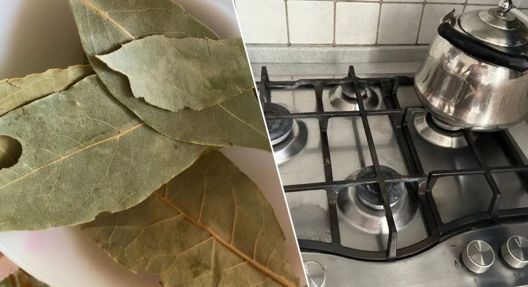 Вішаю 1 лавровий лист над плитою — запах у кухні змінюється за 10 хвилин: не вірила, поки не перевірила 