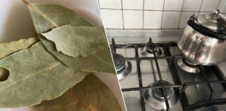 Як покращити аромат на кухні
