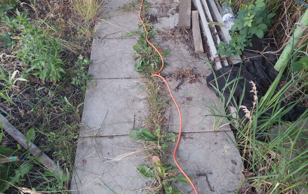 Як очистити ділянку від бур'янів