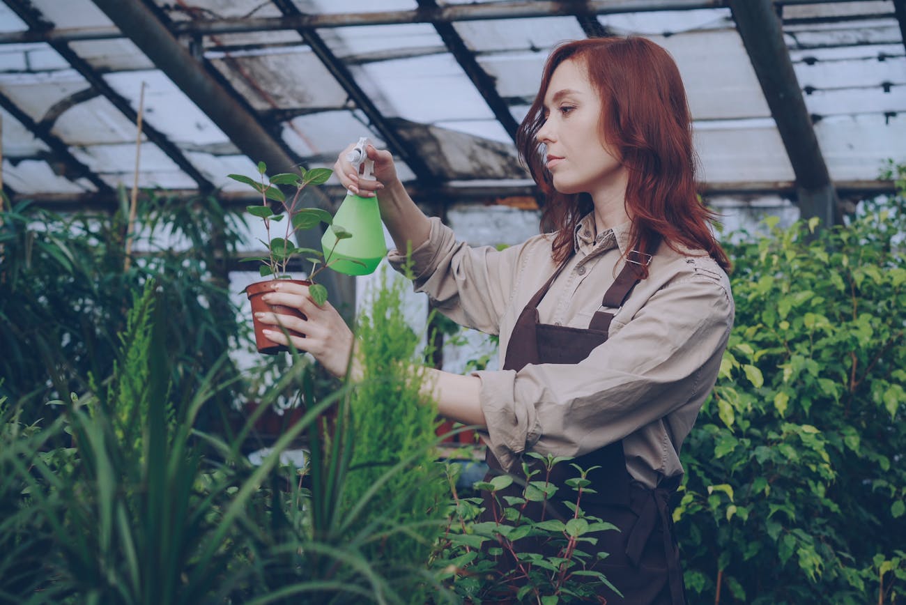 Досвідчені городники поділились рецептом приготування дешевої підгодівлі. Фото: Pexels