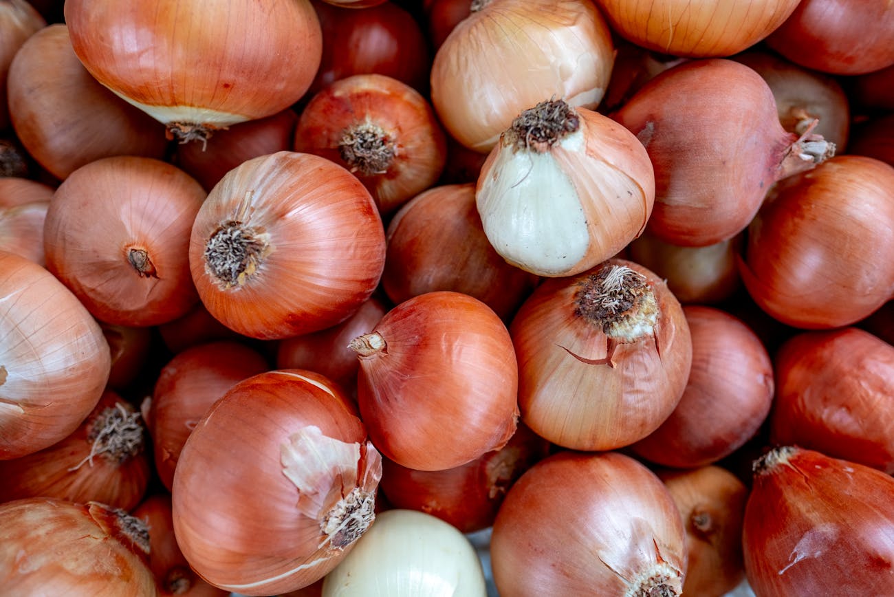 Городники дали поради щодо весняної посадки цибулі. Фото: Pexels