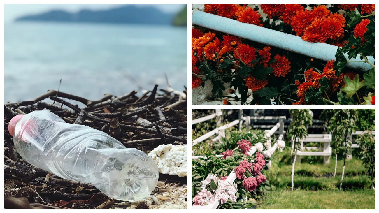 Експерти поділились лайфхаком, як перетворити звичайні пляшки на квітковий декор