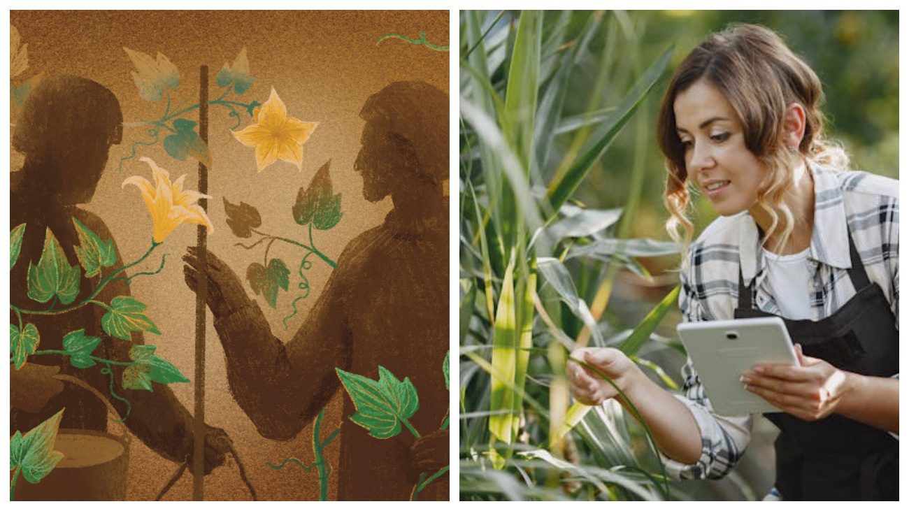 Експерти розповіли про ментальний зв'язок людини з рослинами