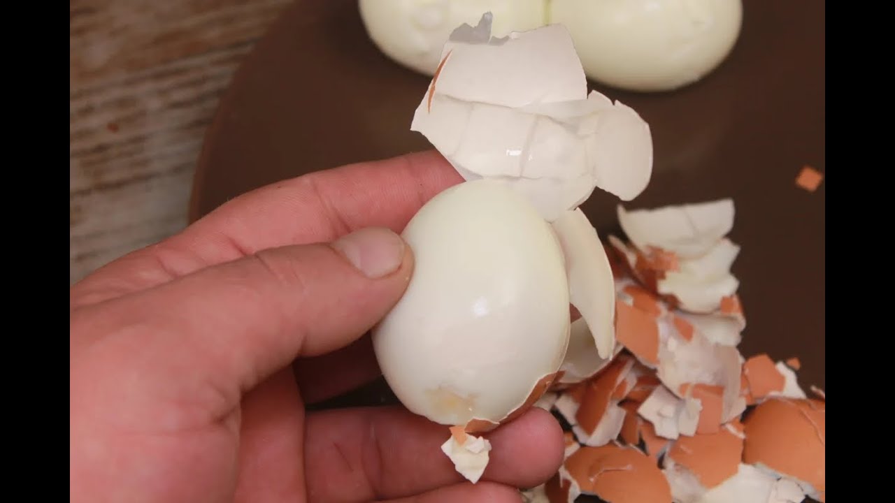 Експерти розповіли, як використовувати яєчну шкаралупу в домашніх умовах для прибирання