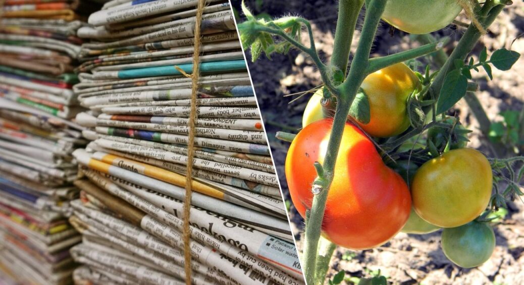 У шафі знайшла цілу “багатоповерхівку” зі старих газет — і це скарб! Всьому селу показала їхню користь 