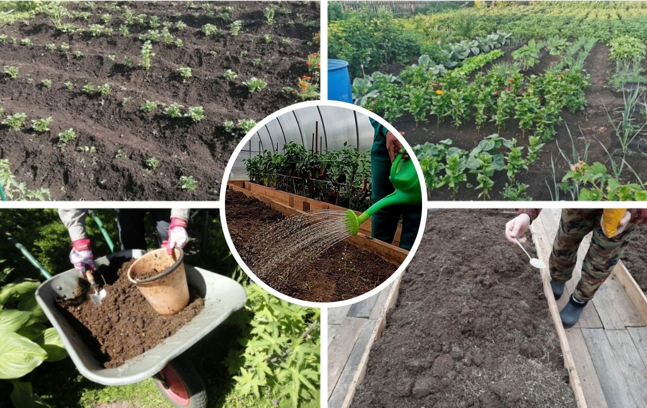 Що робити на грядці за місячним календарем 2 березня