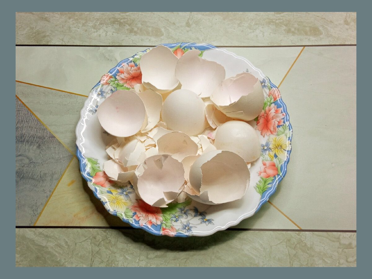 Експерти розповіли, як використовувати яєчну шкаралупу в домашніх умовах для прибирання