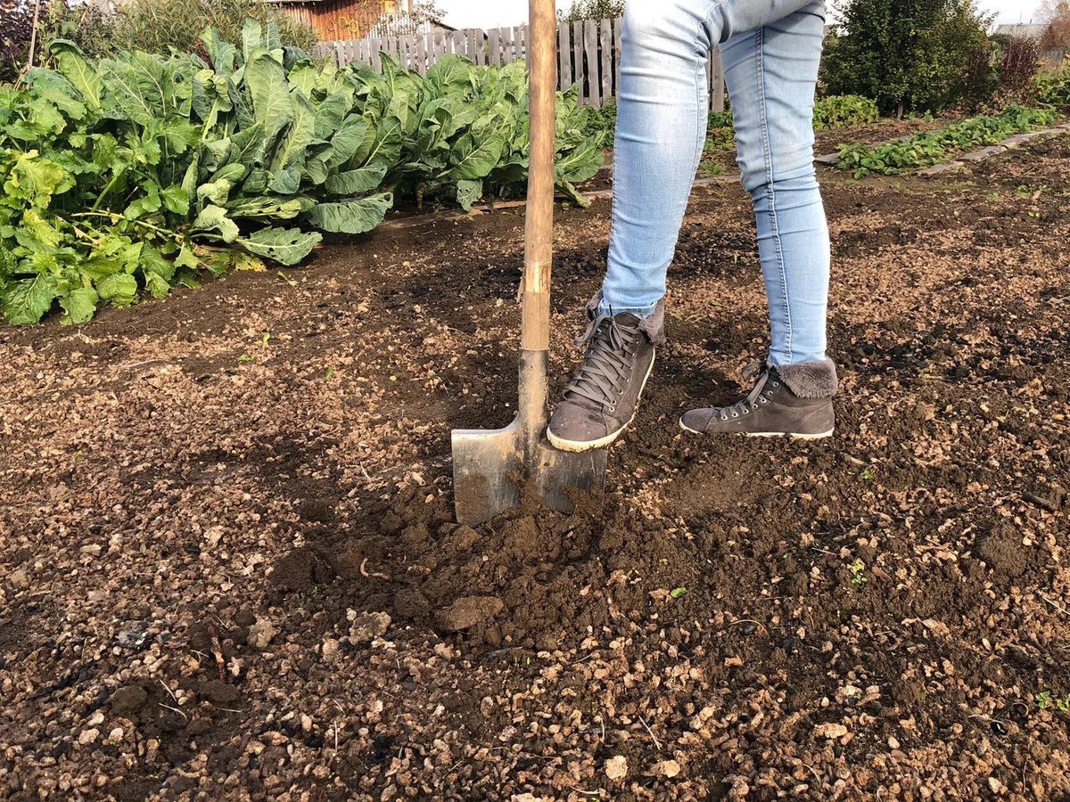 Городники пояснили, як економити воду на поливі за допомогою простого і перевіреного методу