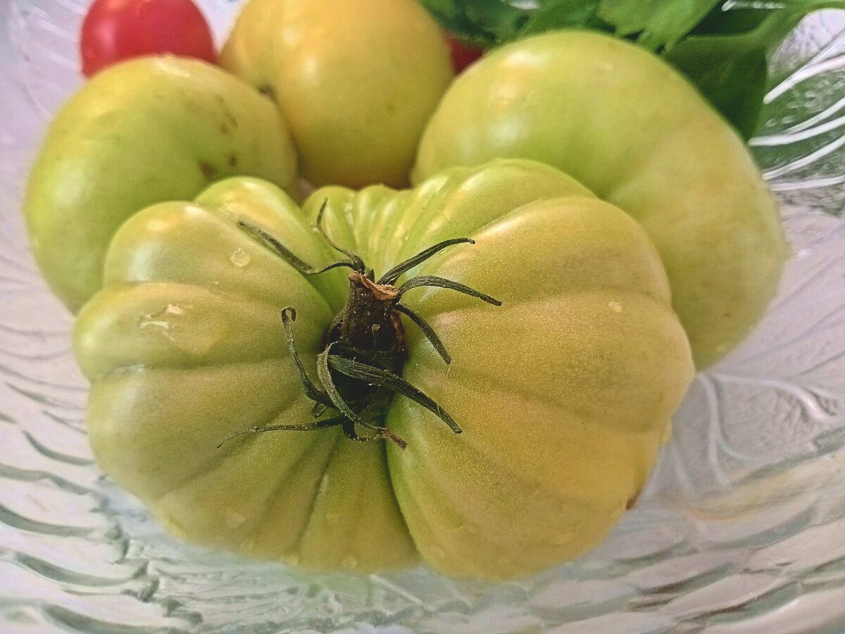 Господині розповіли цікавий лайфхак, як мити овочі, аби в комах не залишилось найменшого шансу