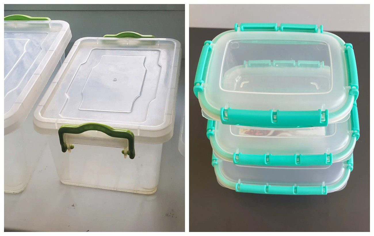 Експерти розповіли, як зі звичайних харчових лотків зробити міні-теплицю для молодої розсади