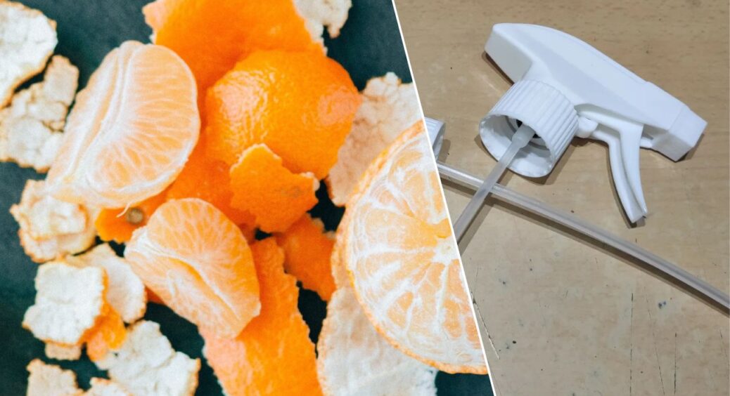 Я викидала цитрусові шкірки, поки не зробила з них натуральний освіжувач для шафи: запах тримається 2 місяці 