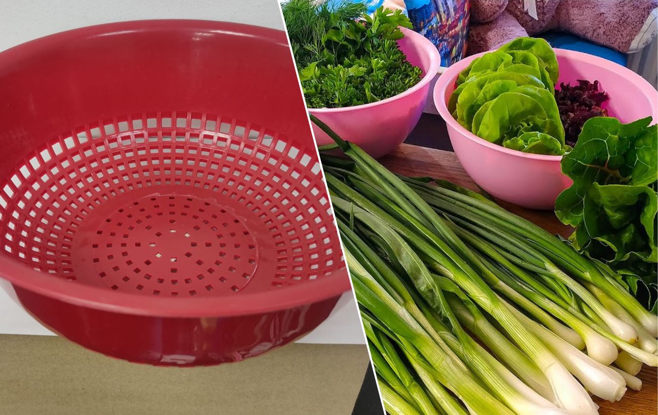 Як зробити парник зі старого друшляка