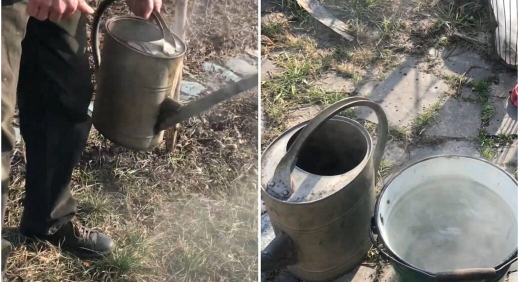 Шкідники втечуть як ошпарені: ось що варто полити окропом навесні на дачі, щоб на всі 100% захистити рослини 