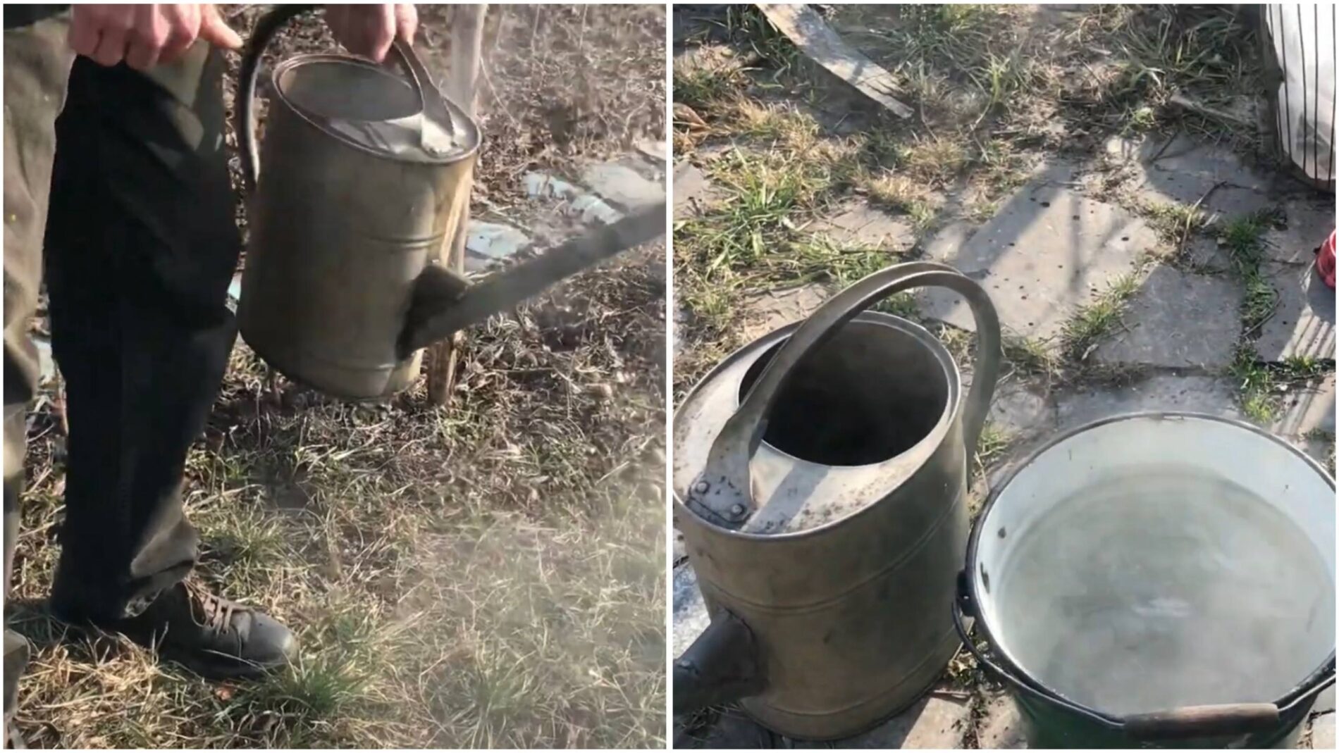 Городники розповіли, як без зайвих зусиль позбутися шкідників на дачі у березні