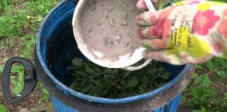 Агрономи розповіли, як приготувати дієве трав'яне підживлення для рясного врожаю