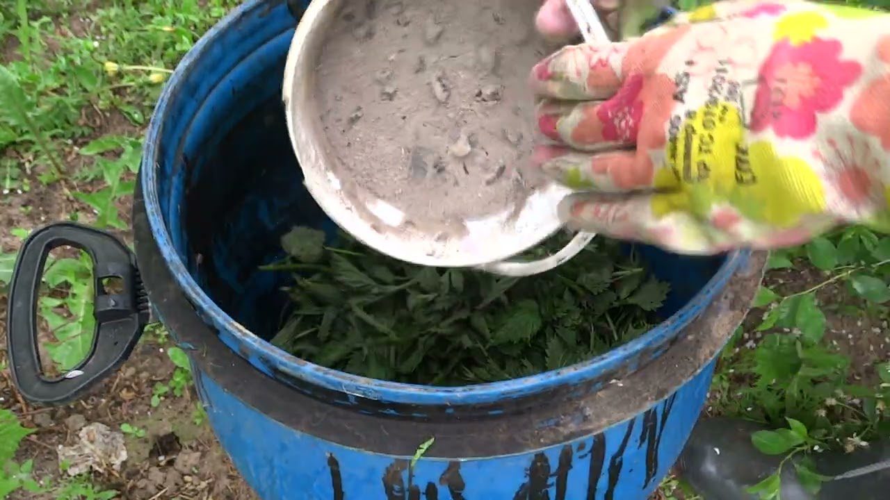 Агрономи розповіли, як приготувати дієве трав'яне підживлення для рясного врожаю