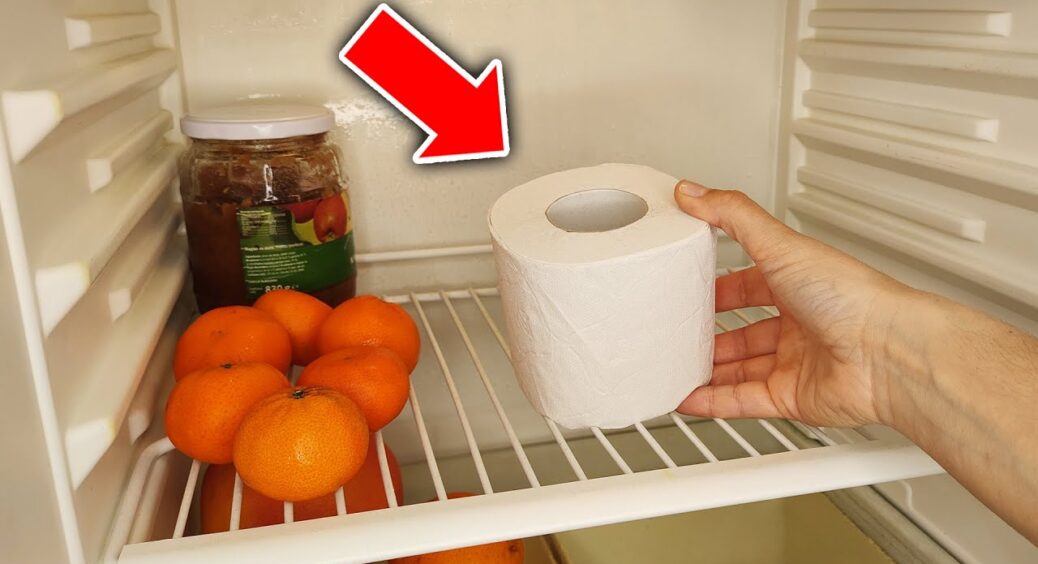 Кладу 1 рулон туалетного паперу в холодильник – і забуваю про неприємності: це не жарт – ефект порадує 