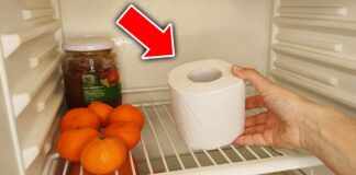 Господині розповіли, навіщо потрібно класти у холодильник туалетний папір
