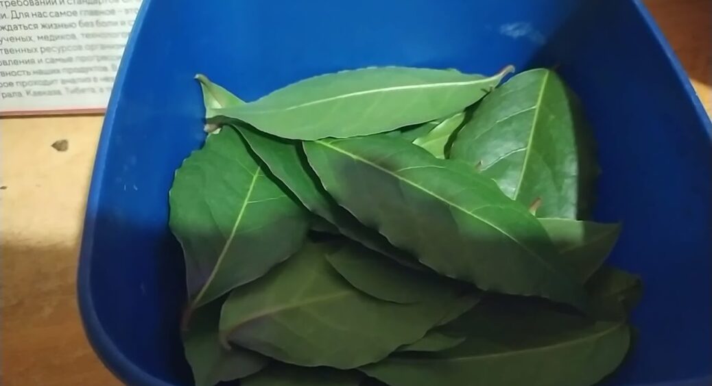 Роблю так уже понад 30 років: ось як легко зробити туалет свіжим за допомогою колготок і лаврового листа 