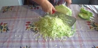 Шеф-кухарі розповіли, як дрібно та швидко нашаткувати капусту без ножа
