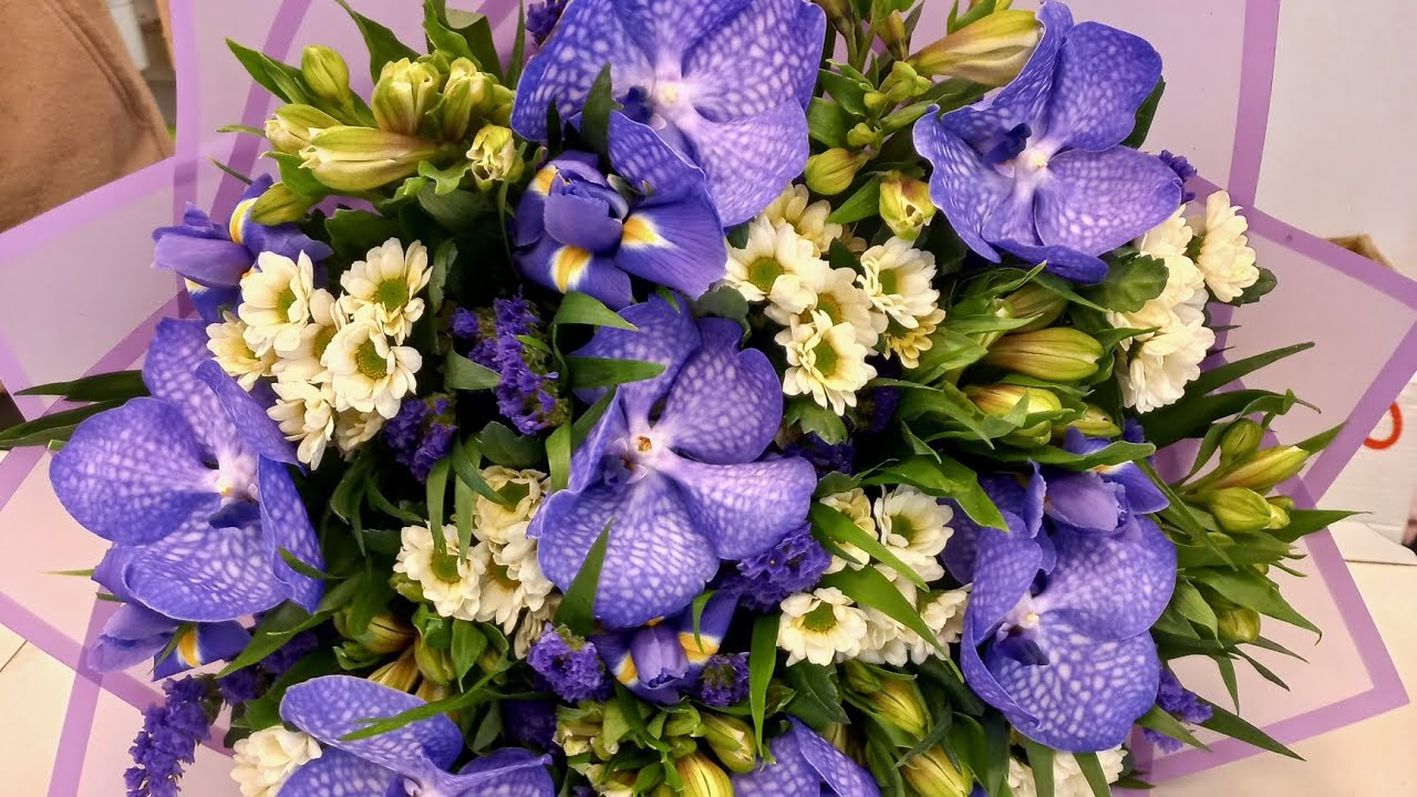 Квітникарі розповіли, які шкідники можуть потрапити до будинку разом із квітами