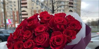 Квітникарі розповіли, які шкідники можуть потрапити до будинку разом із квітами