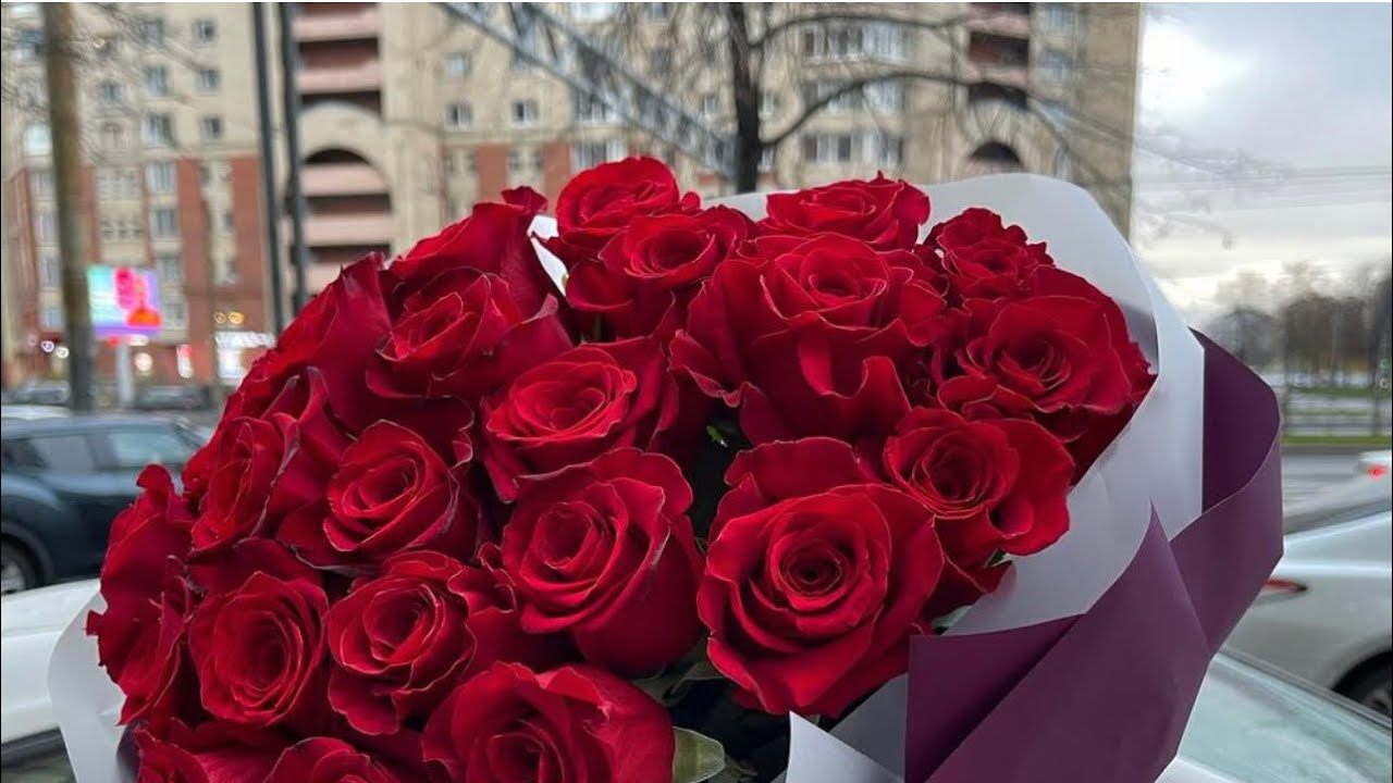 Квітникарі розповіли, які шкідники можуть потрапити до будинку разом із квітами