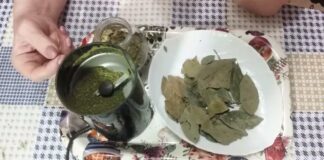 Кулінари розповіли, де насправді правильно зберігати лавровий лист