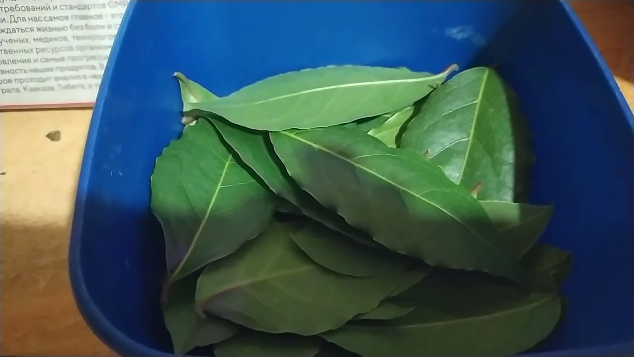 Кулінари розповіли, де насправді правильно зберігати лавровий лист