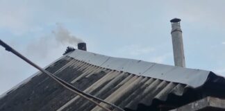 Господарі назвали 3 методи, які допоможуть легко почистити димар від сажі