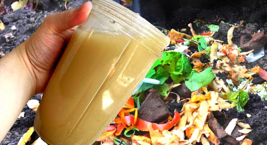 Компост повноцінно дозріє не за довгий рік, а всього за 2 місяці: просто додаю в купу 1 активний інгредієнт 