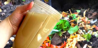 Городники розповіли, як дуже швидко переробити всі залишки на корисне добриво