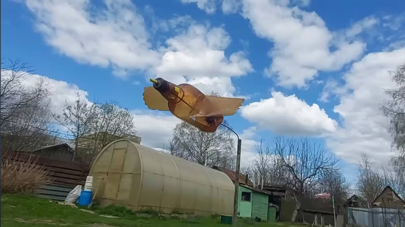 Садівники розповіли, як відлякати птахів із ділянки за допомогою пляшки