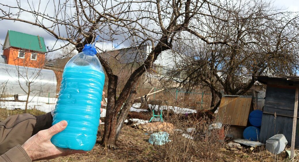 Кум-садівник підказав, як захистити плодові дерева та чагарники від хвороб – усе літо 0 парші та моніліозу 