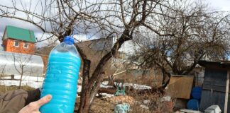 Садівники розповіли, як захистити плодові дерева та кущі від хвороб ще з березня